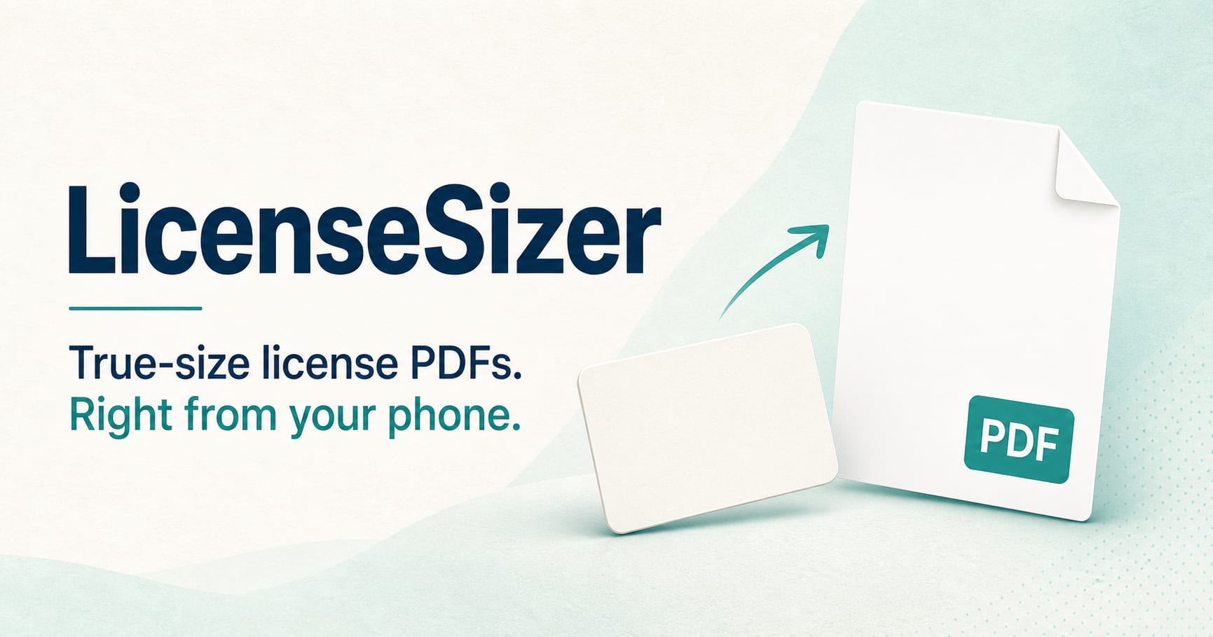 LicenseResizer public product preview